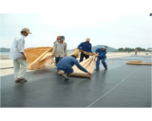 Dịch vụ Chống thấm tại TPHCM