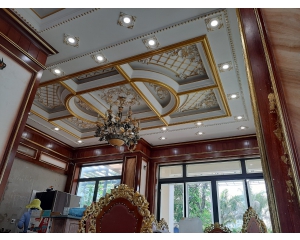 Vẽ nhũ vàng nhà chị Phượng  