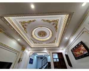 TRẦN THẠCH CAO VẼ NHŨ VÀNG